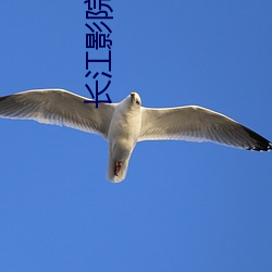 長江影院