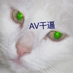 AV干(幹)逼(逼)