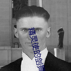 精靈使的劍舞小說
