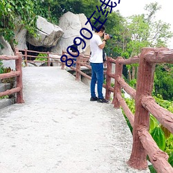 8090在线免费看