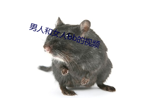 男人和女(女)人bb的视(視)频