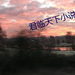 君临天下小说