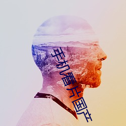 手机(jī)看片国产