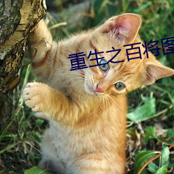重生之百將圖