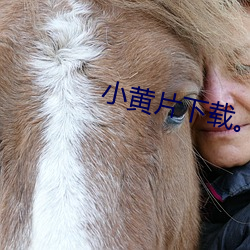 小黄片下载。 （知书识字）