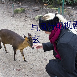 與鳳行電視劇免費觀看完整版天玄