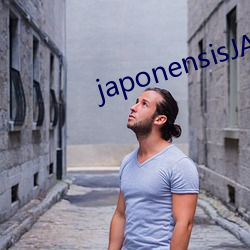 japonensisJAVAHD大 （戎马生涯）