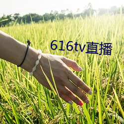 616tv直播