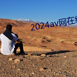 2024av網在線