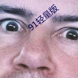 91輕量版