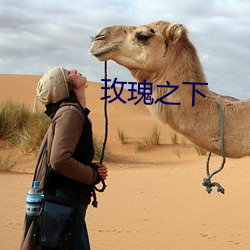 玫(m¨¦i)瑰之下