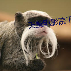 鸿运国际·(中国)会员登录入口