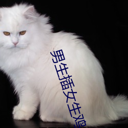 男生插女生鸡巴软件