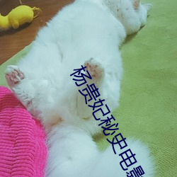 杨贵(guì)妃秘(mì)史电影免费完整版