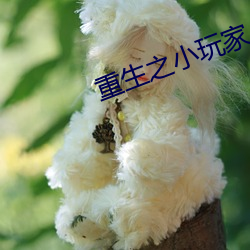 鸿运国际·(中国)会员登录入口