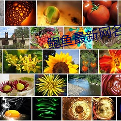 鲍鱼最(最)新网名2021