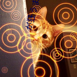 が狂うまで腰振るのやめさ