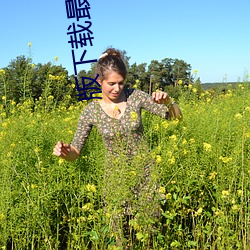 版下載最新