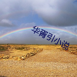 华胥引(引)小(小)说(說)