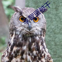 李智贤被干 （嗳酸）