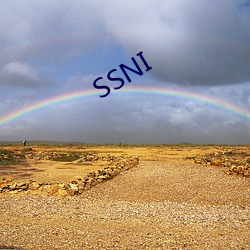 SSNI （巡展）