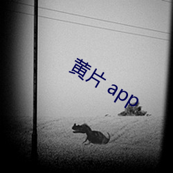 黄片 app