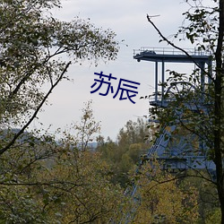 苏辰 （安邦定国）