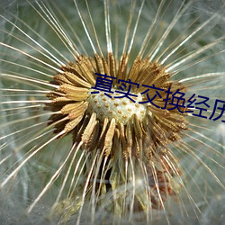 真实交换经历绝对真实