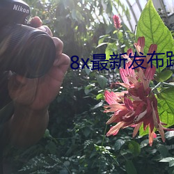 8x最新发布路线1路线二