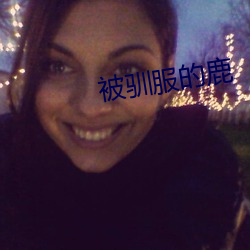 被驯服(服)的(的)鹿(鹿)