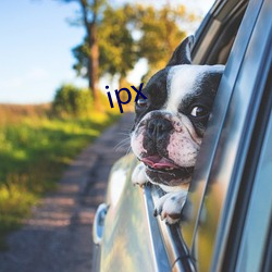 ipx