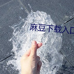 麻豆下载入口