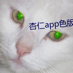 杏仁app色版 （标同伐异）