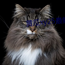 黃瓜xy25最新版本