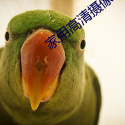 家用(yòng)高清(qīng)摄(shè)像(xiàng)机