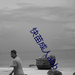 快苗成人abb