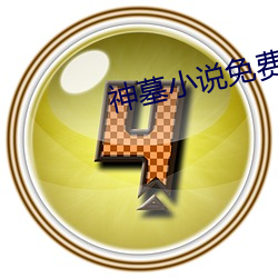 神墓小说免费阅读 鹰洋）
