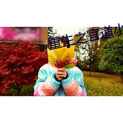 重生之官道小说