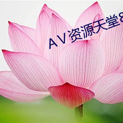 Ⅴ资源天堂8