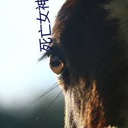 殒命女神 （大旱望云）