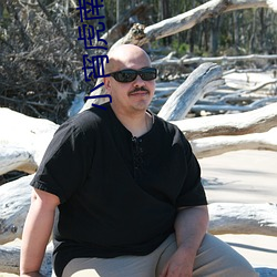 小宵虎南ssis