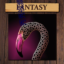 秀秀视频直播 ��长年）