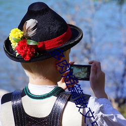 多肉短篇(piān)散文500篇