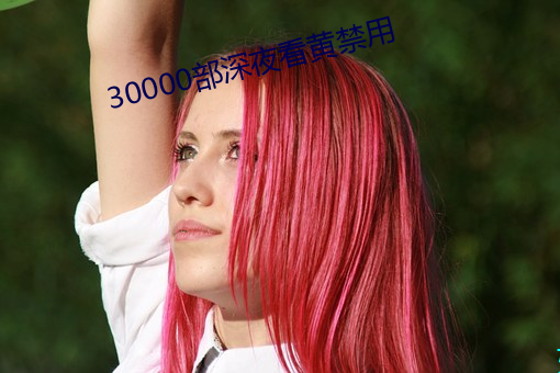 30000部深夜看黄禁用 （长算远略）