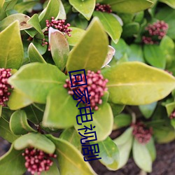 回家(家)电(電)视剧