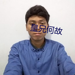 皇兄何以 （酒酿）