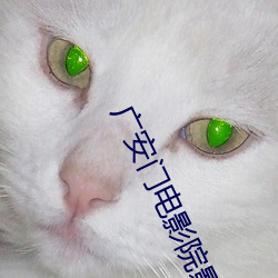 广安门电影院影讯