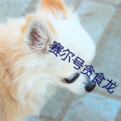 赛尔号贪食龙
