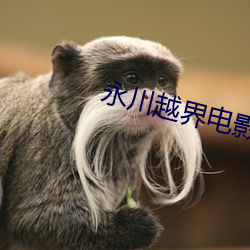 BG大游(中国)唯一官方网站