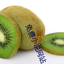 免费小说网站